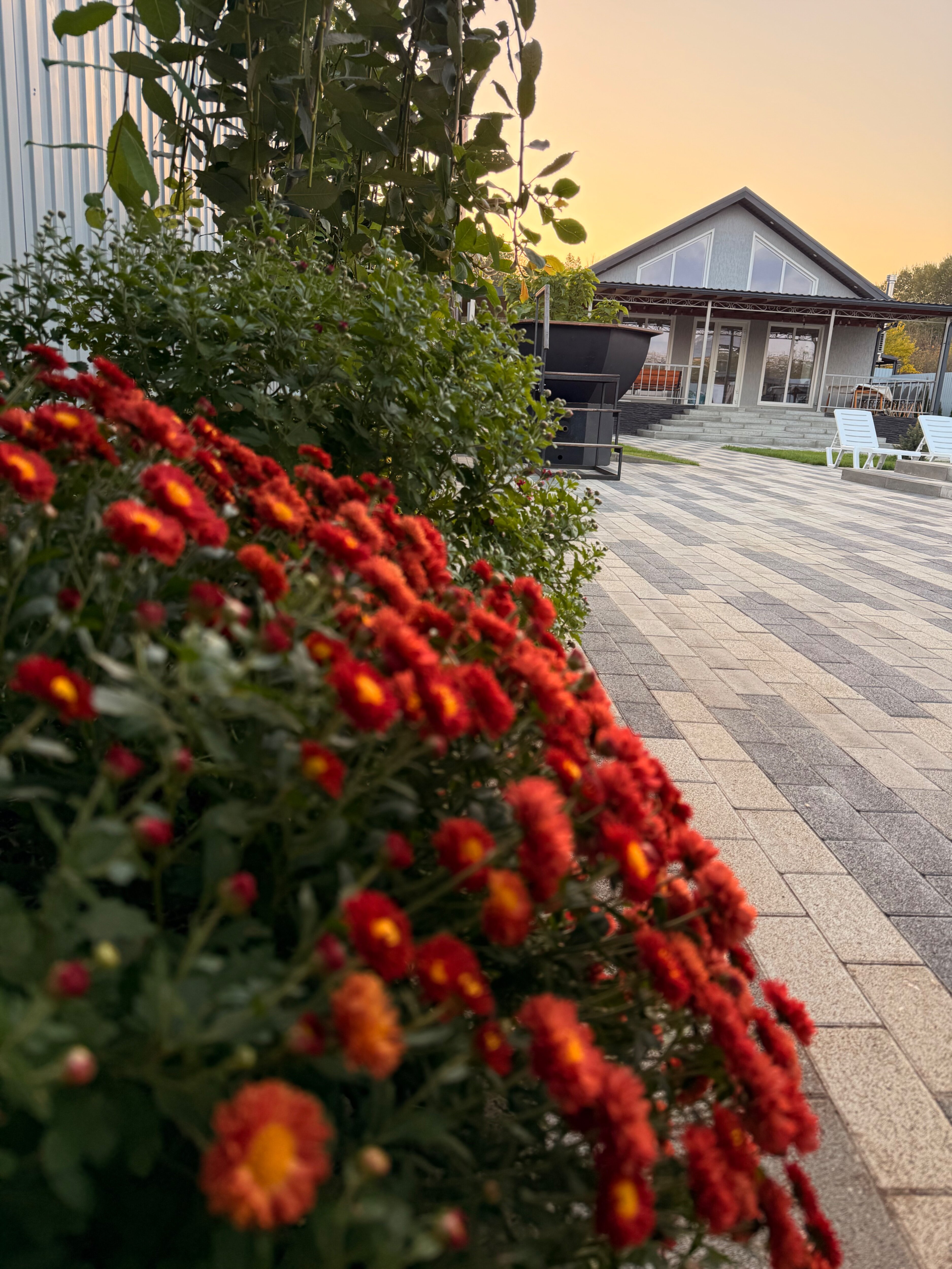 Фото Дом Прованс