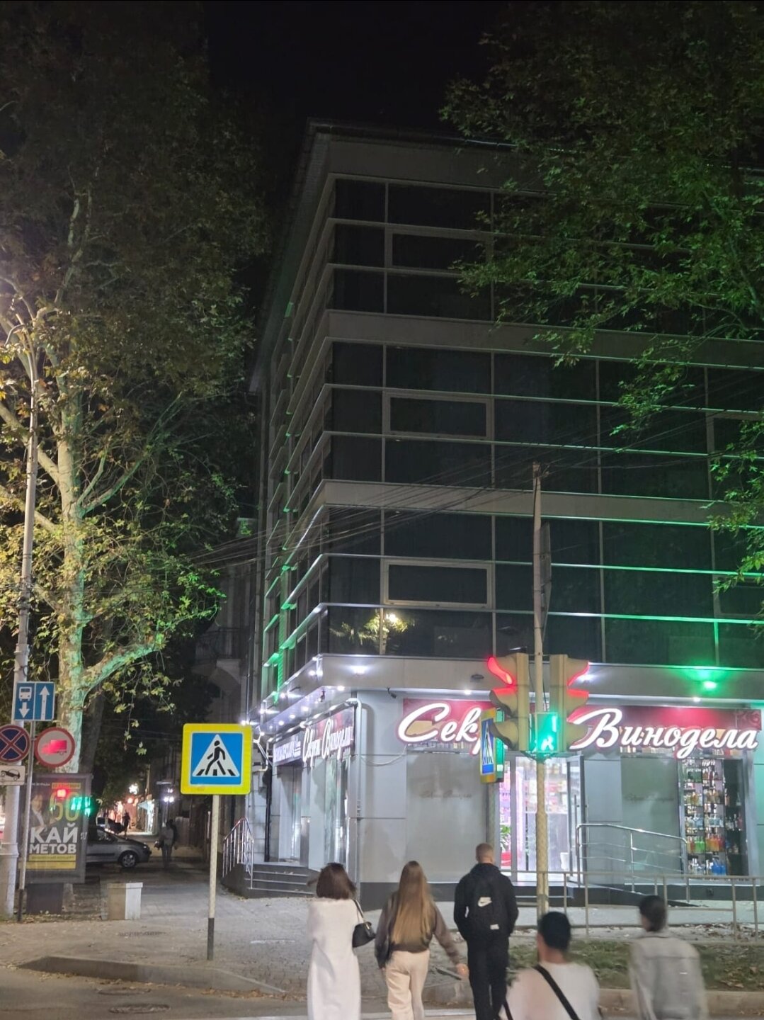 Фото Камелия