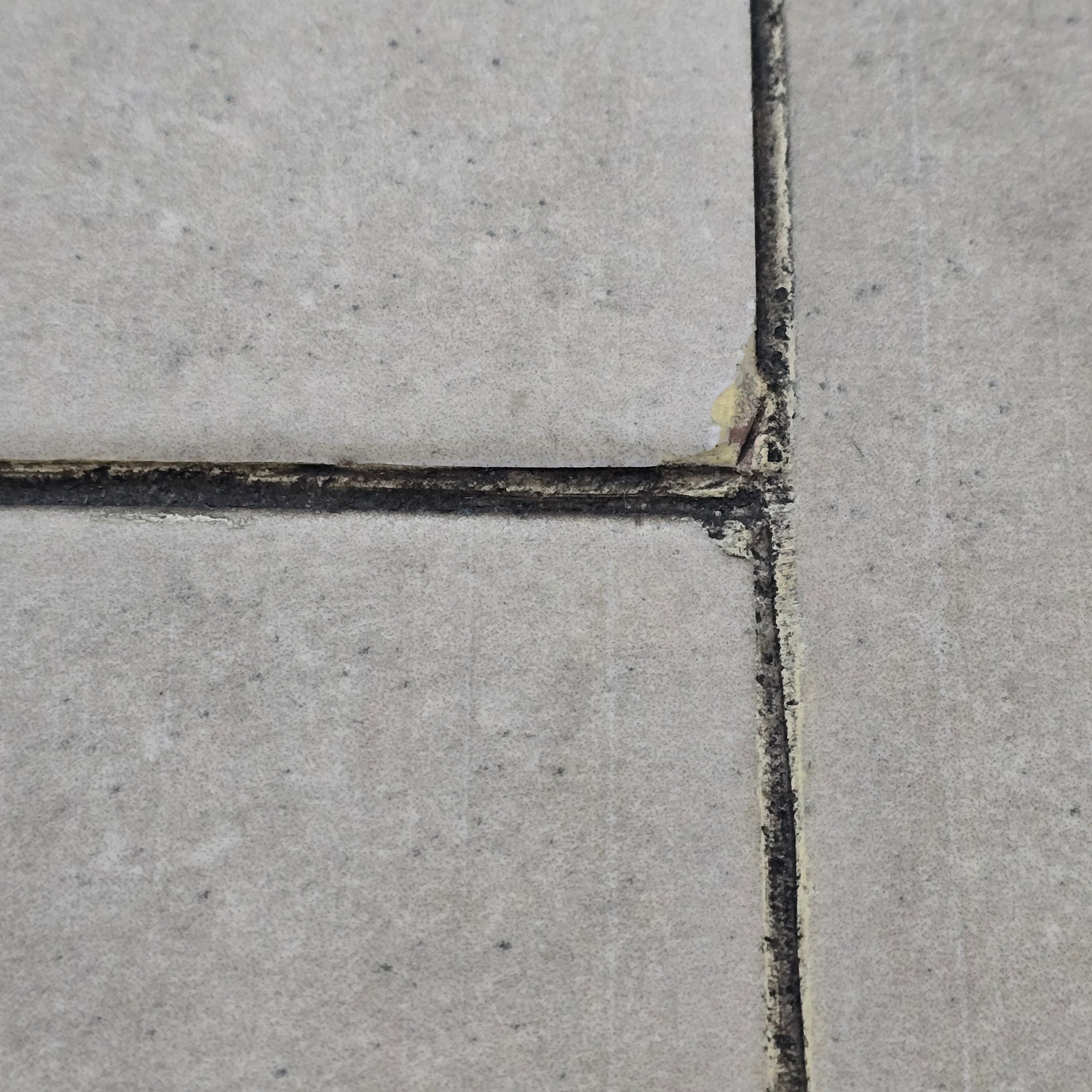 Фото Отель Tbil Inn