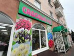 Садовый рай (Oktyabrskaya ulitsa, 49), flower shop