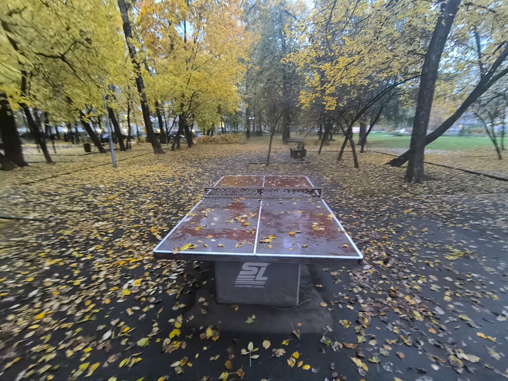Playground Playground, Moscow, photo