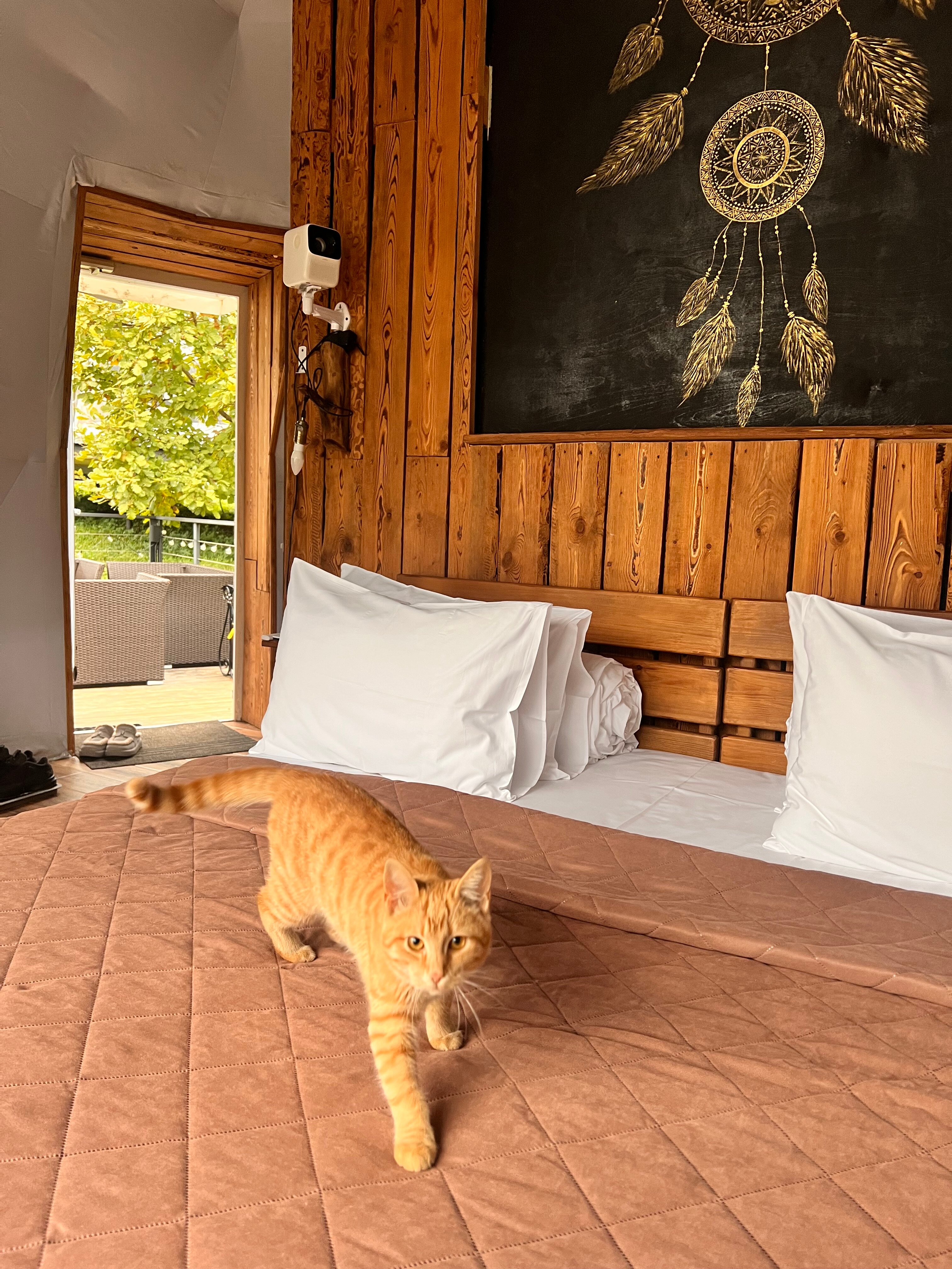 Фото Панорама