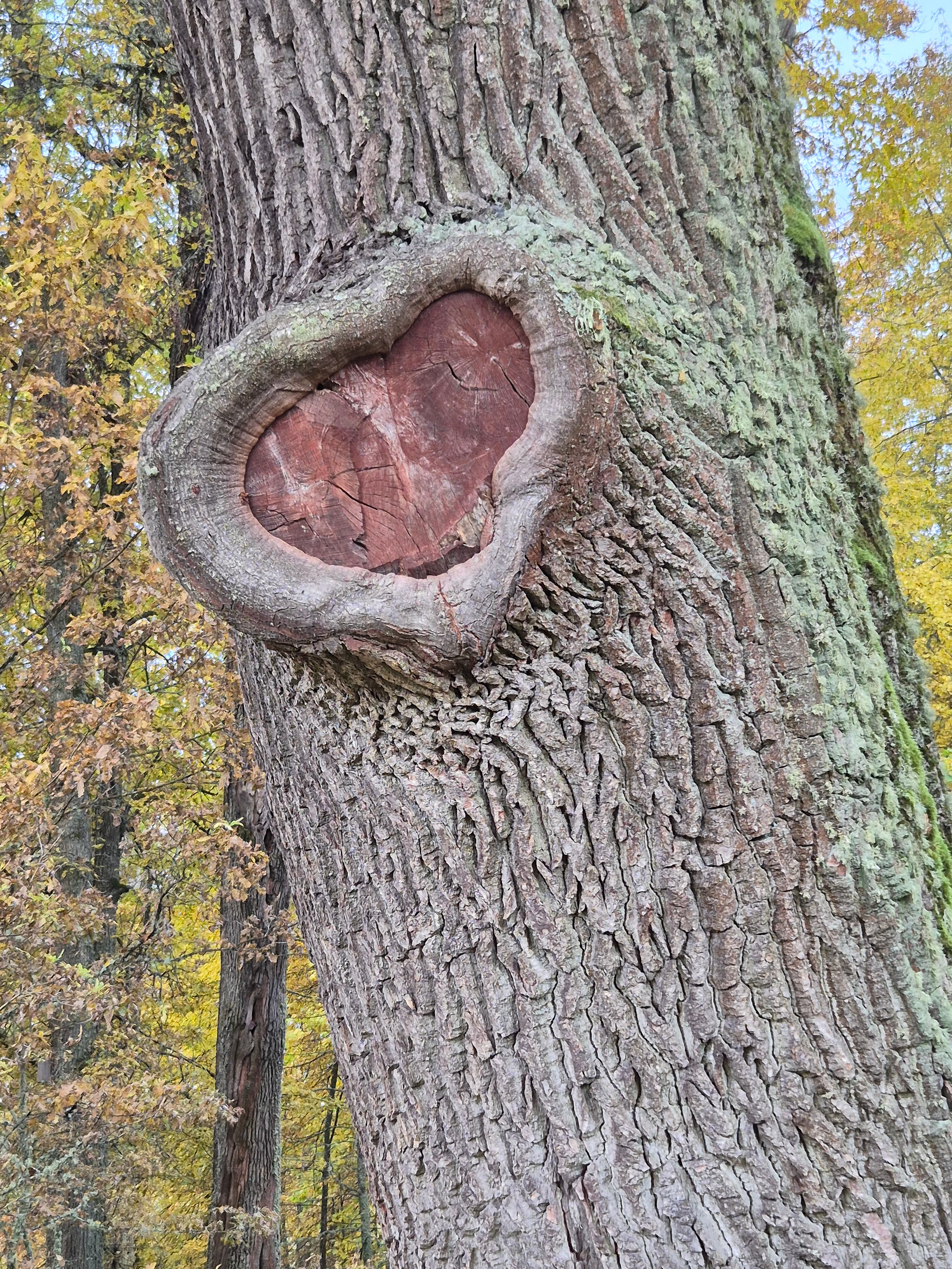 Фото Октябрьская