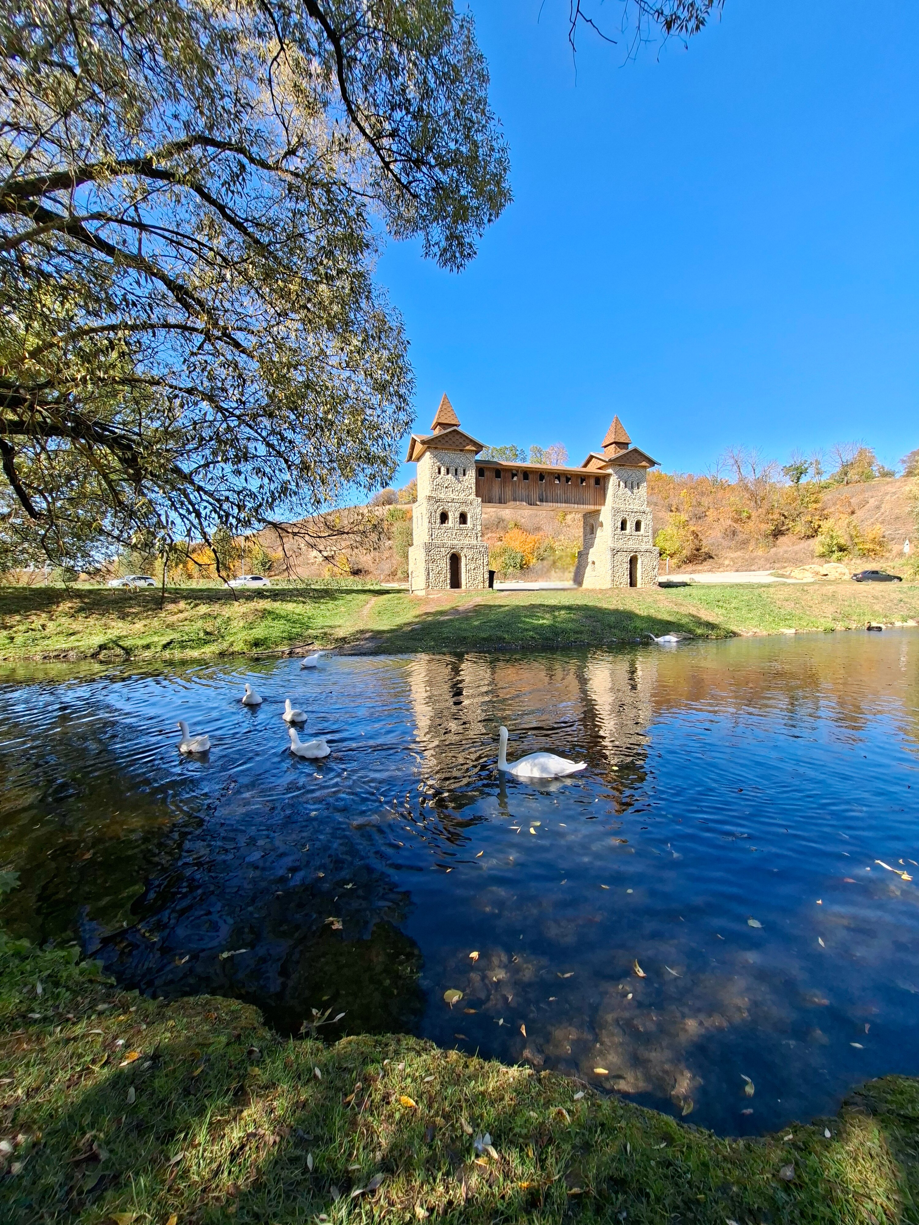 Фото Дивное