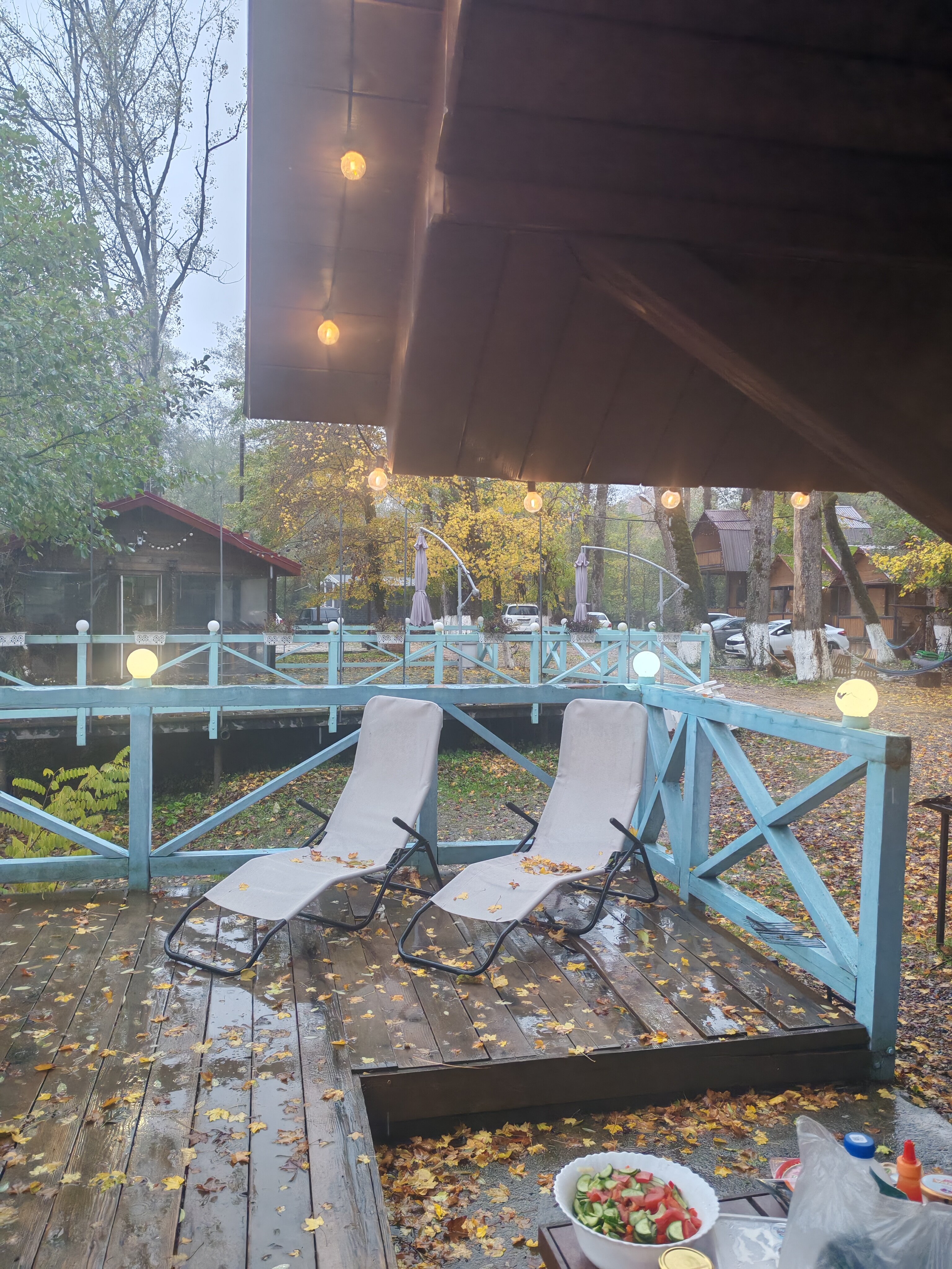 Фото Кактус Арт