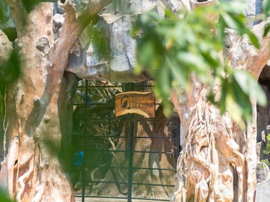 Фото Wonderland Suites and Resort