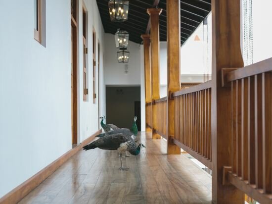 Фото Yara Galle Fort