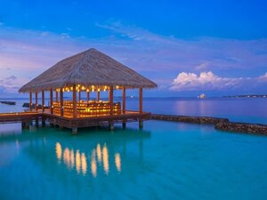 Гостиница Kurumba Maldives