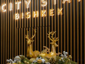 Гостиница City Stay Bishkek