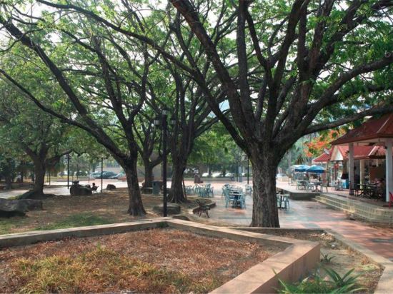 Фото Oyo 210 Hotel Five 2