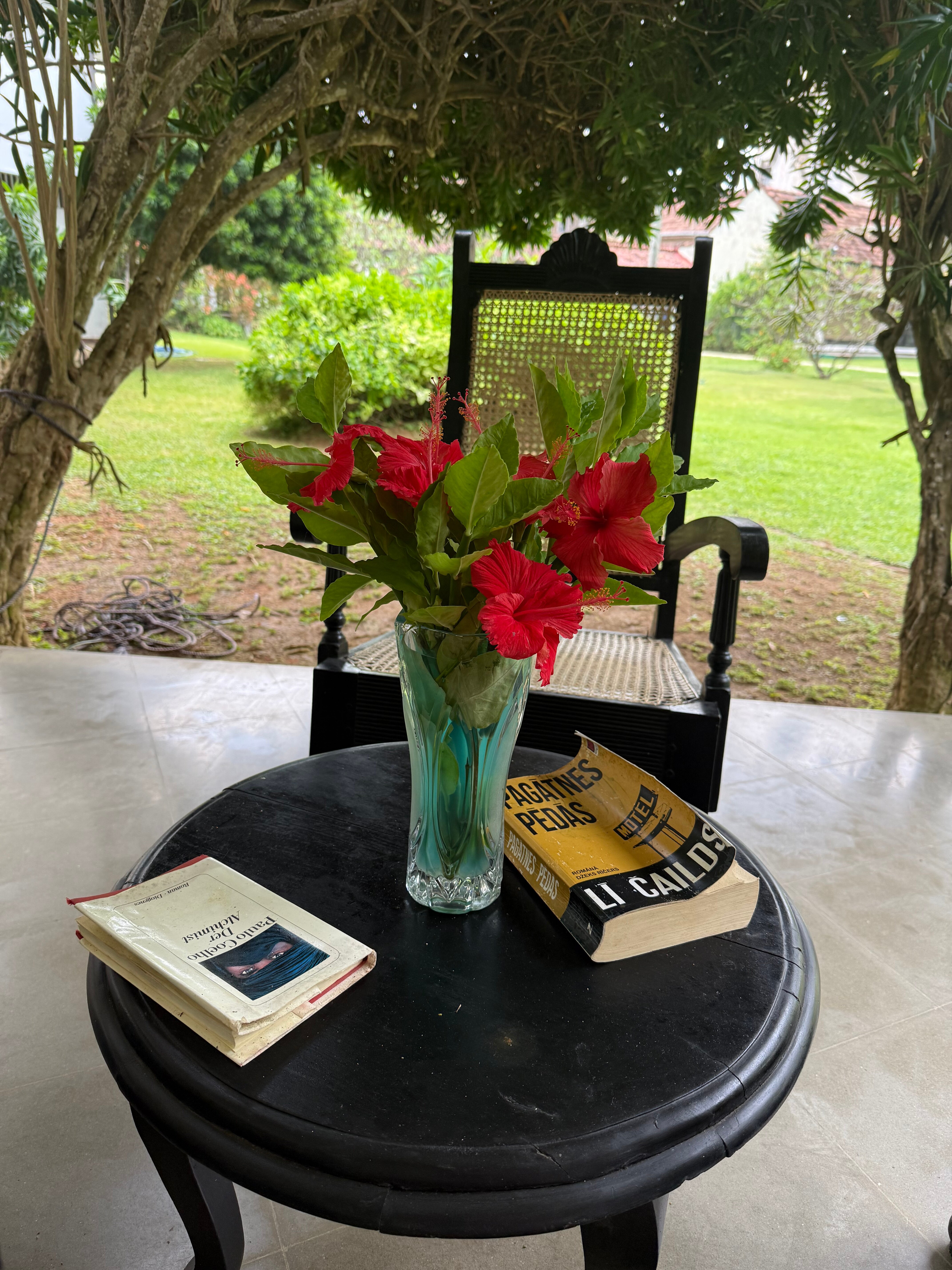 Фото Hibiscus Beach Hotel & Villas