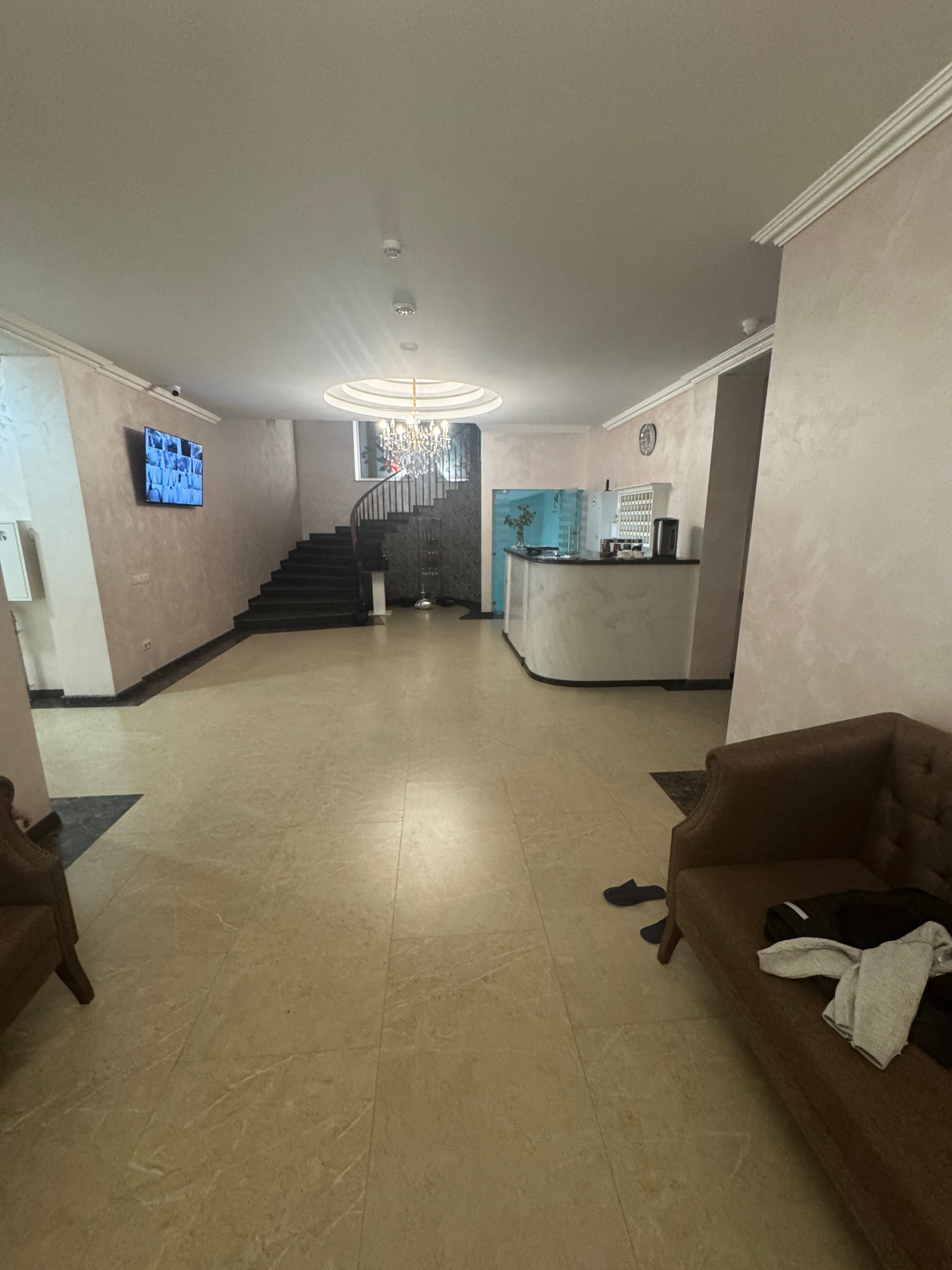 Фото Сова Беседы