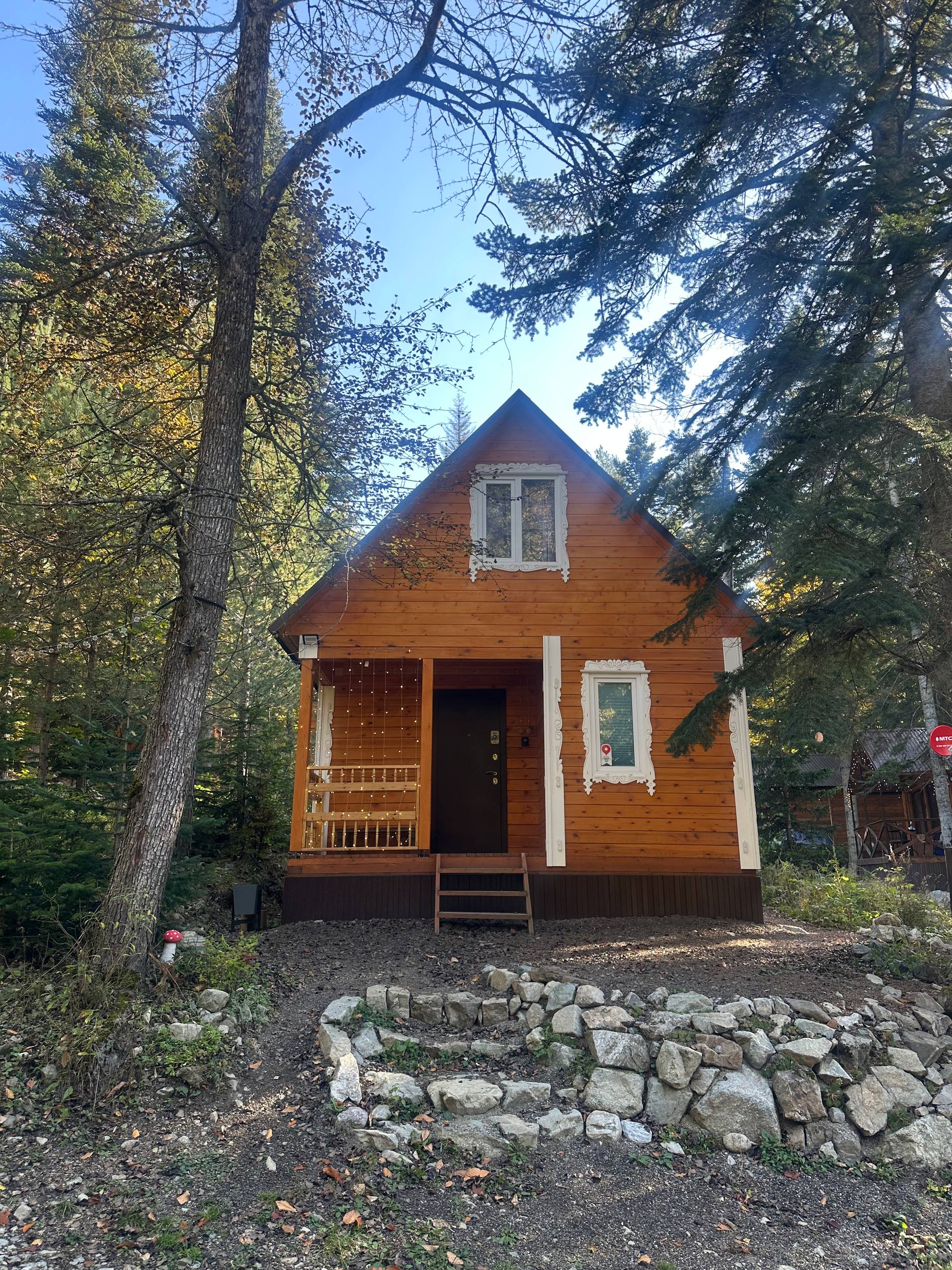 Фото Мухоморье