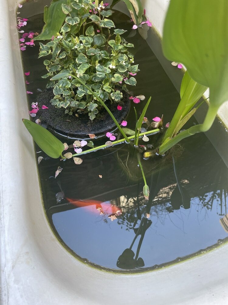 Фото Garden Hotel