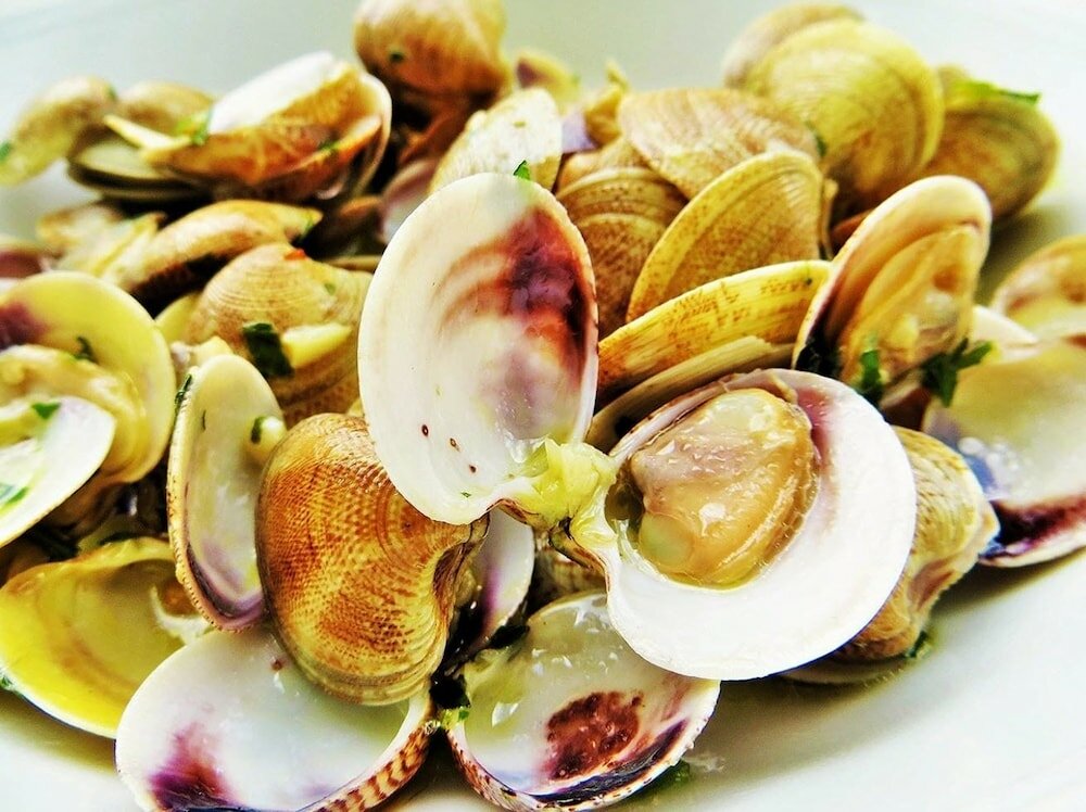 Фото Hotel Hamilton