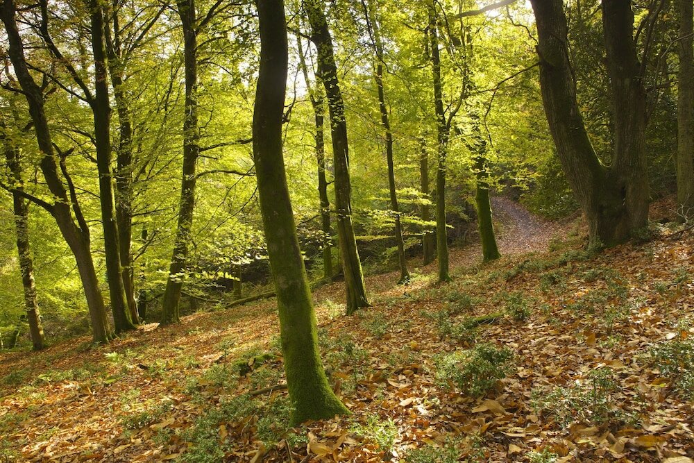 Фото Exmoor White Horse Inn