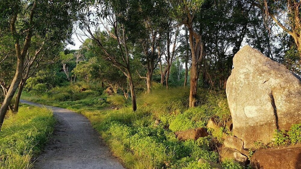 Фото Ho May Resort