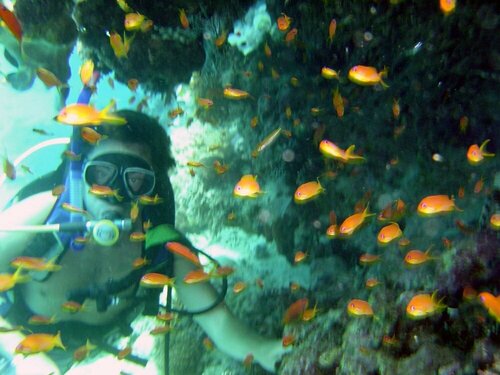 Гостиница Hotel Dunas de Sal в Санта-Марии