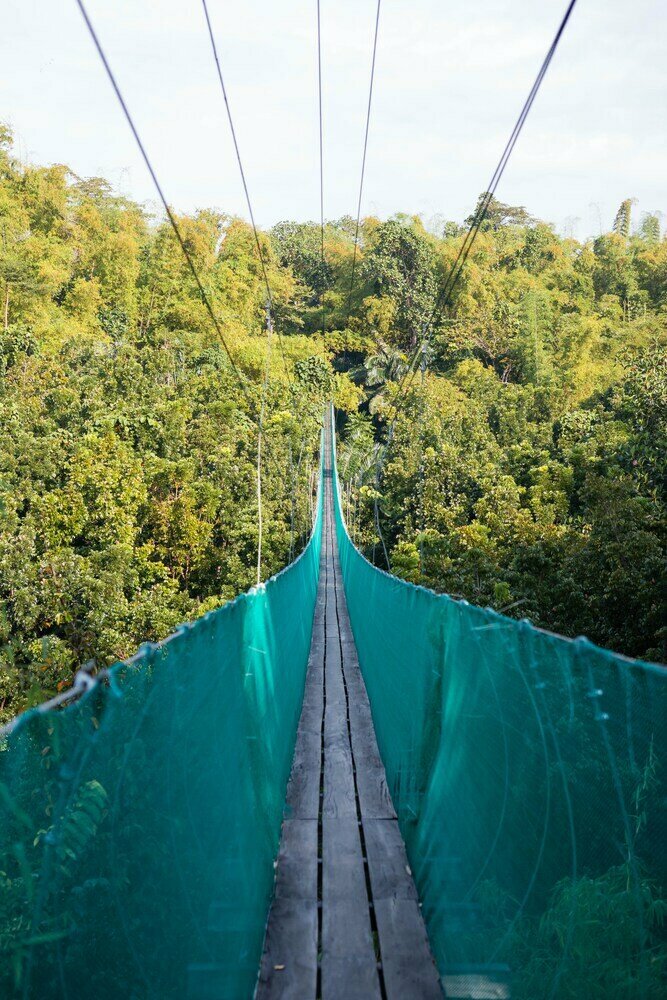 Hotel Damires Hills Tierra Verde, Earth, photo