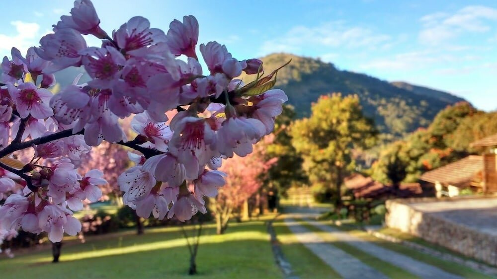 Фото Pousada Parador Santarém