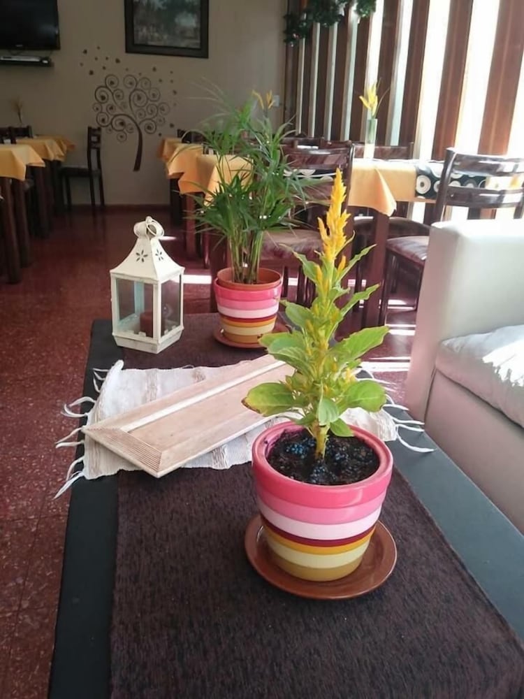 Фото Hotel Resi San Bernardo