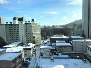 Гостиница Hotel Resol Sapporo Nakajimakouen