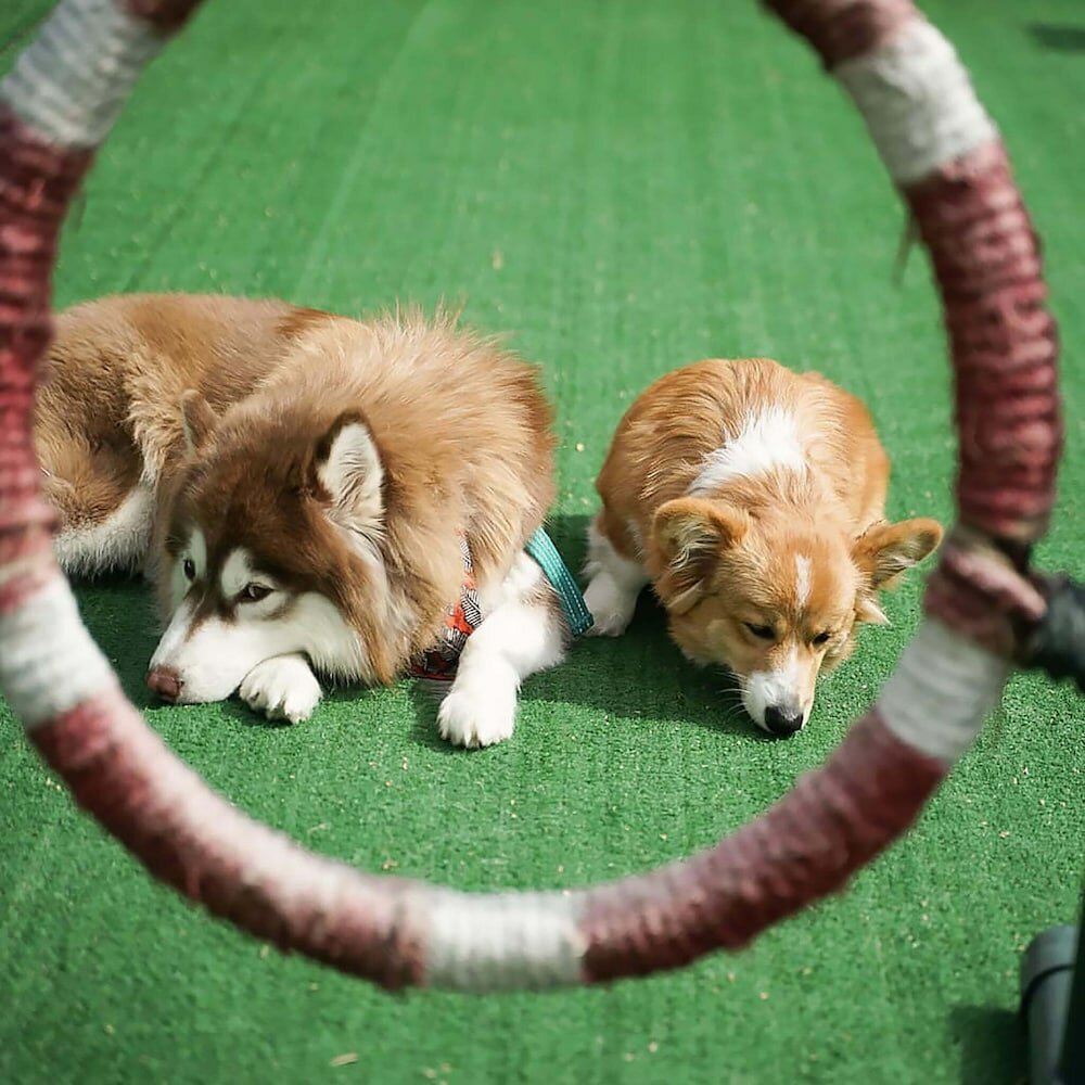 Фото Long Beach Pavilion’s