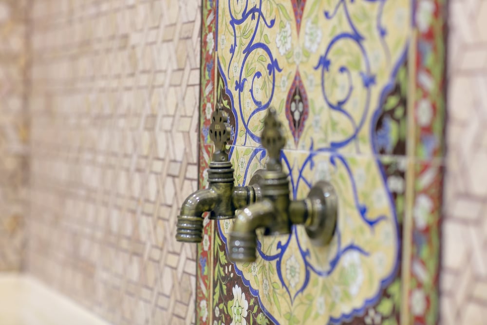 Фото Shah Palas Hotel