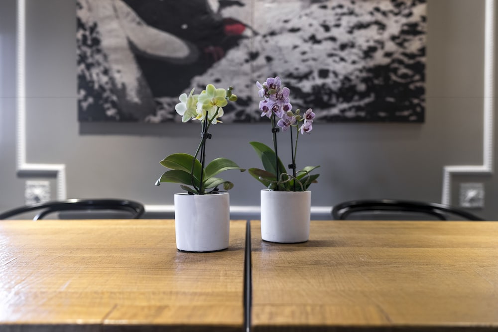 Фото Hotel Bella Riva