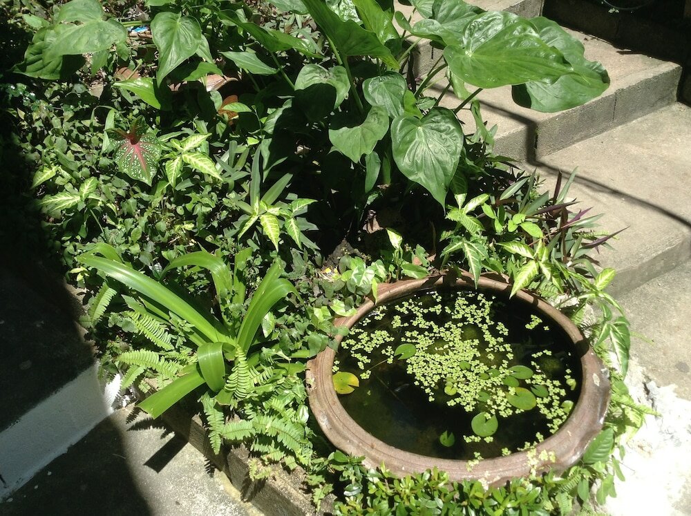 Фото Coco's Guesthouse