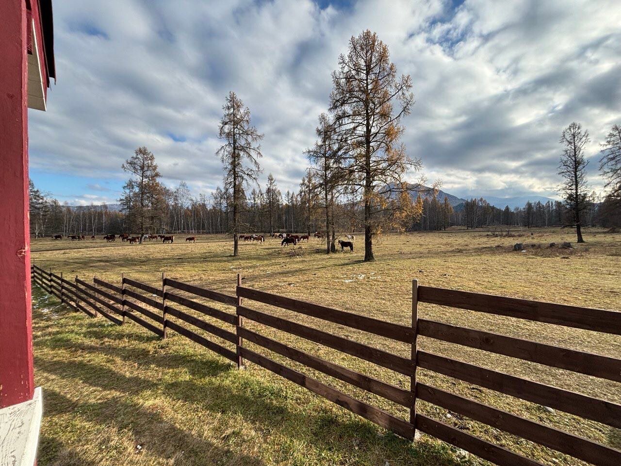 Фото Аврора