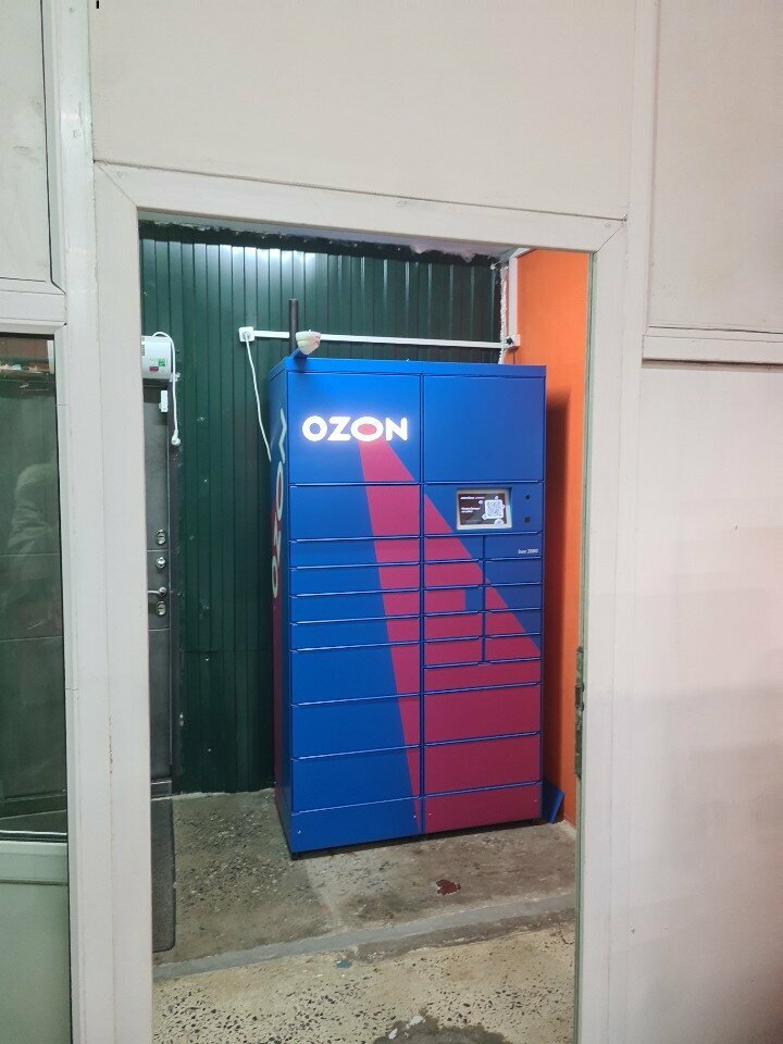 Parcel automat Ozon box, Tula, photo