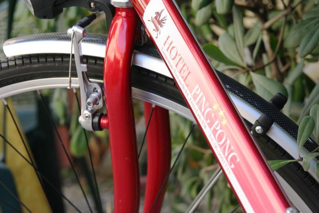 Фото Hotel Ping Pong