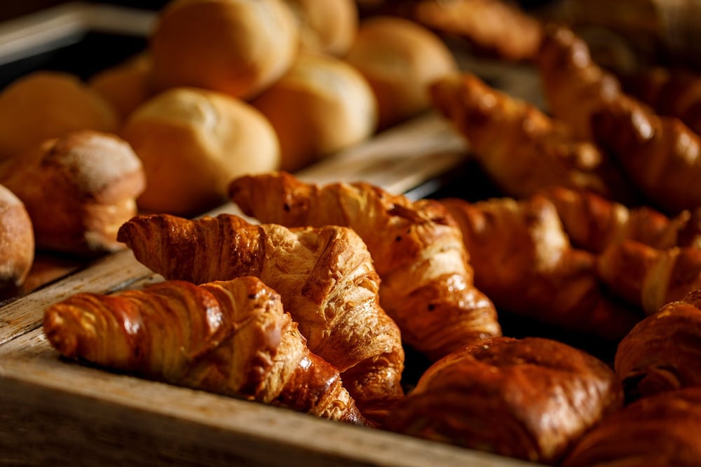 Фото Palmiers by Fassbind