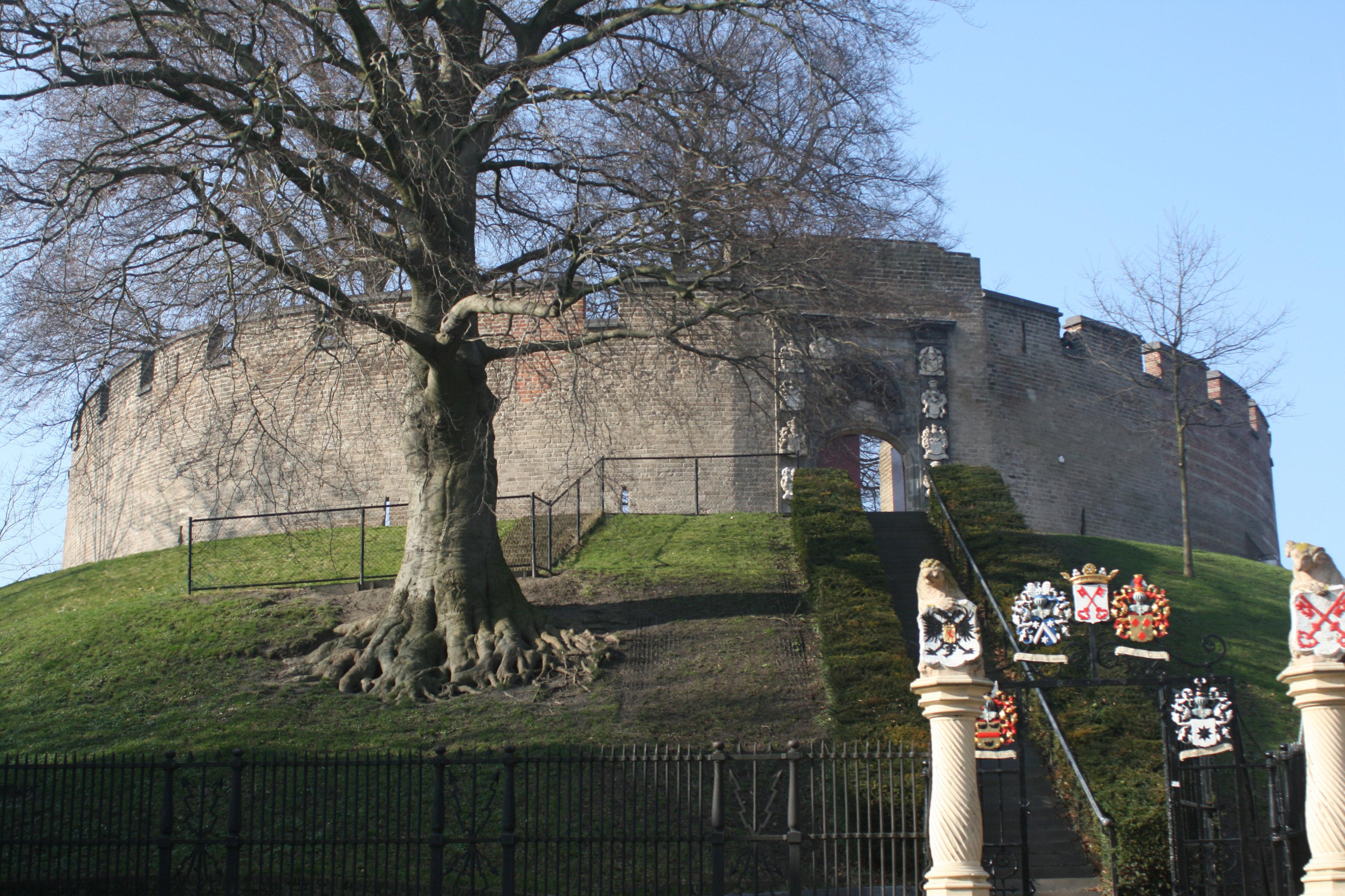 Фото 56515768612