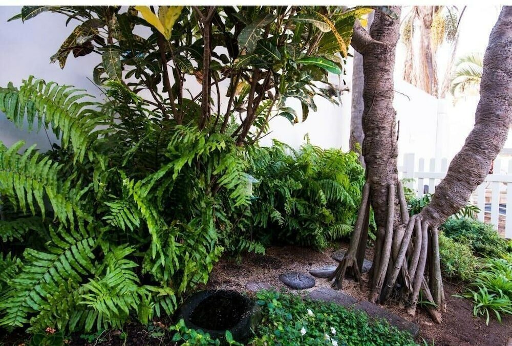 Фото Flamingo Lodge