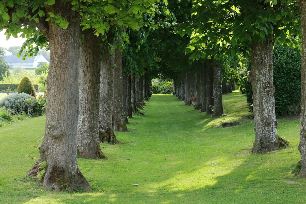 Фото 130584666346