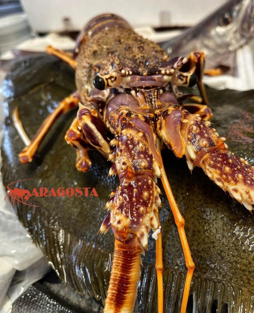 Фото Aragosta Hotel & Restaurant