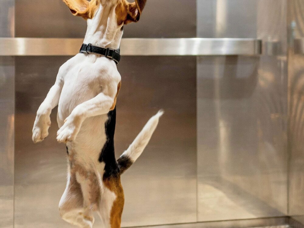 Фото Ibis London Excel Docklands