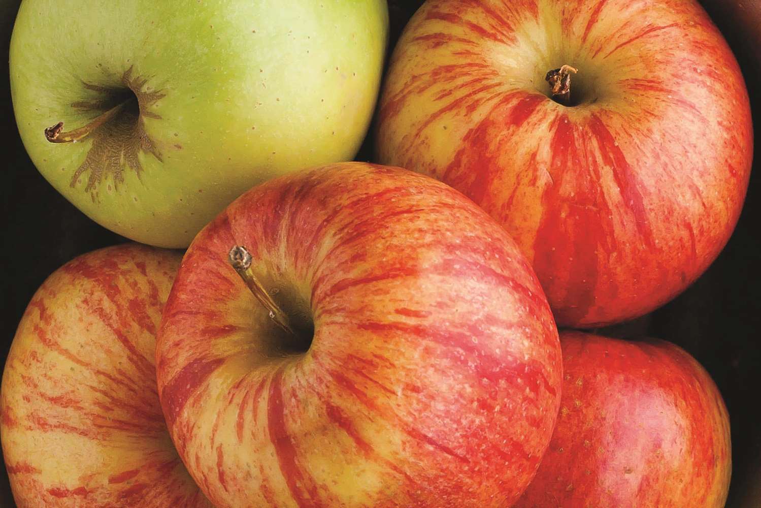 Фото La Quinta Inn & Suites by Wyndham Hattiesburg - I-59