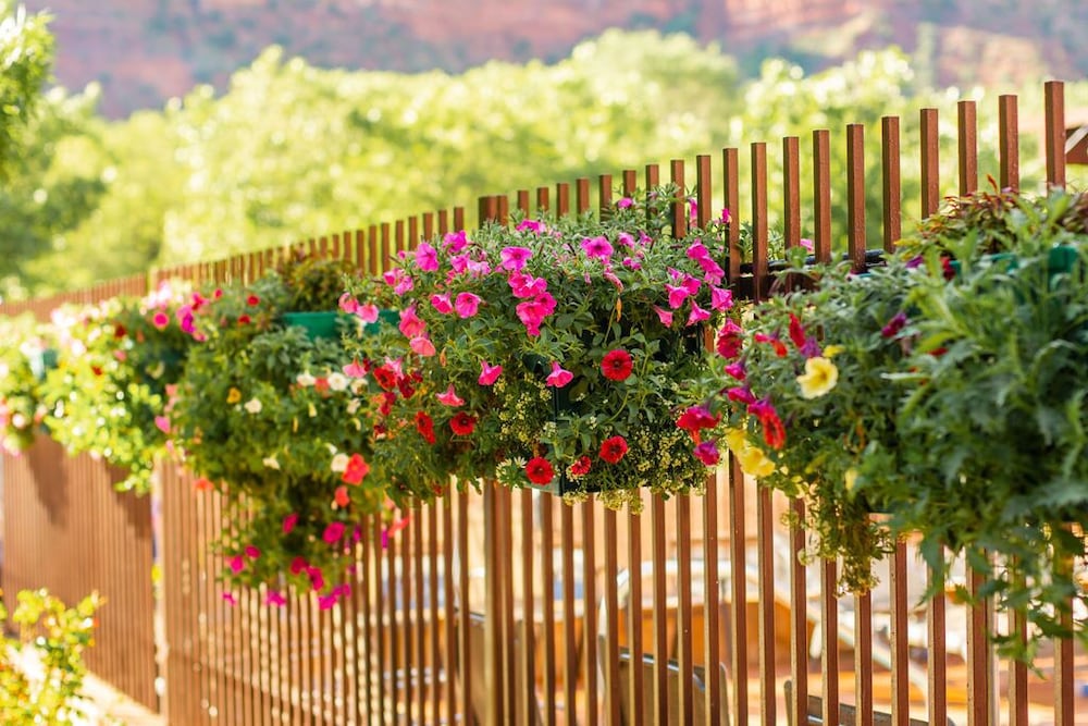 Фото Cable Mountain Lodge