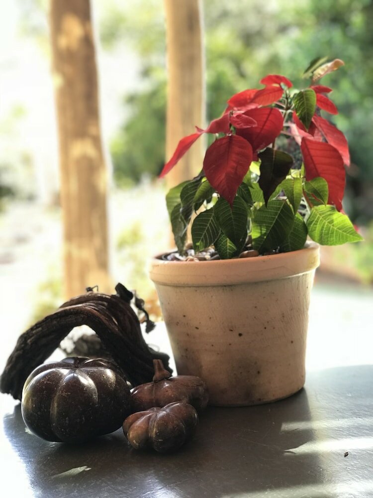 Фото Claires of Sandton