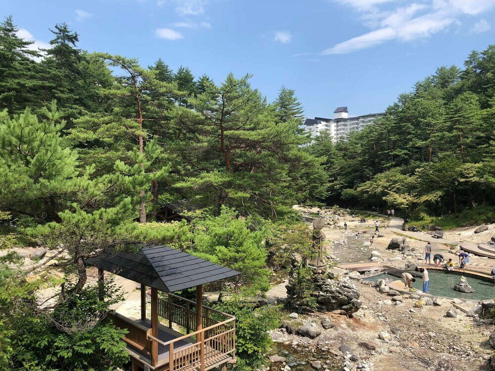 Фото 181965387168