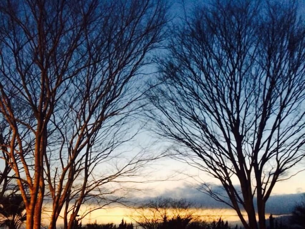 Фото Lilac Hotels and Resort