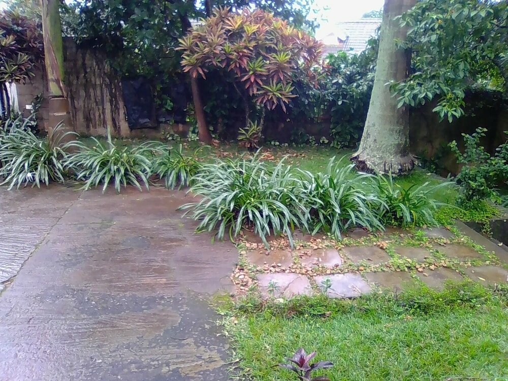 Фото Sunbird Backpackers