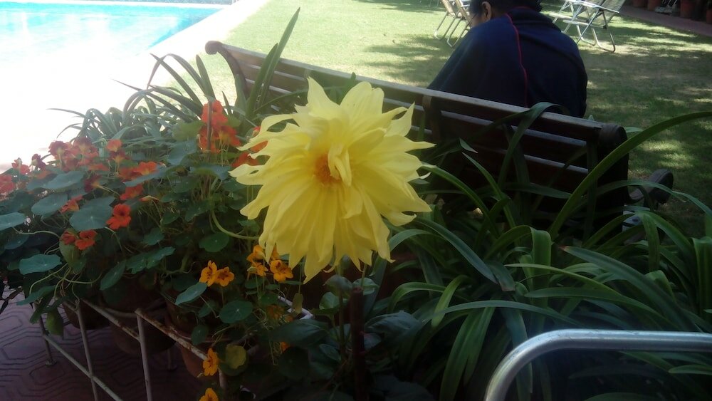 Фото Hotel Megh Niwas