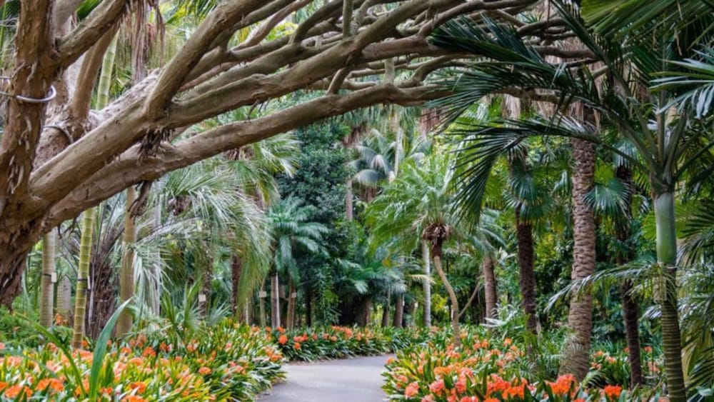 Фото InterContinental Sydney by IHG