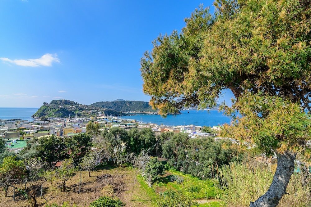 Фото Hotel Riviera