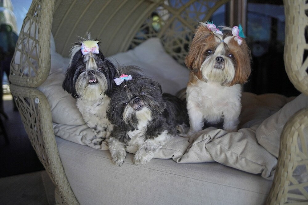 Фото Cliffside Luxury Inn