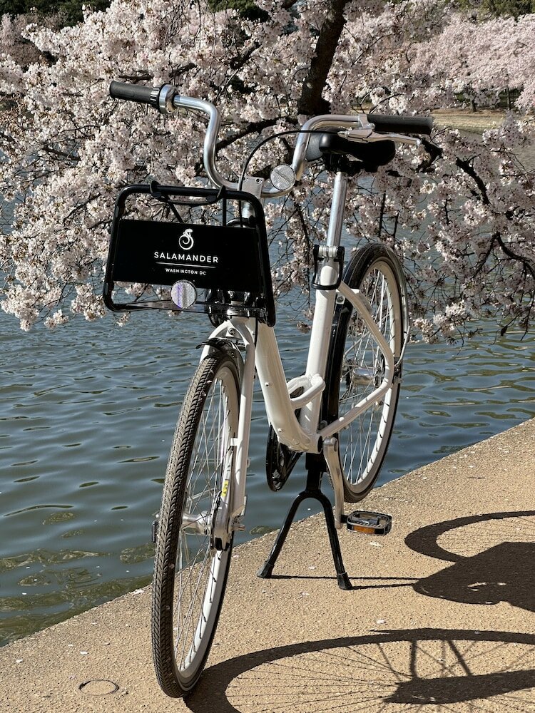 Фото Mandarin Oriental, Washington D. C.